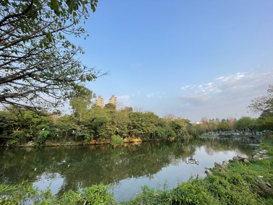 大安森林公園 攝影：Eva隨手拍