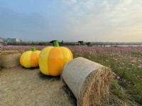 美堤河濱公園(2021年花海)<br/> 攝影：Eva隨手拍