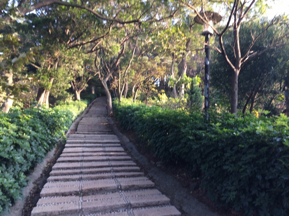 楊梅貴山公園 攝影：Leon Tsai