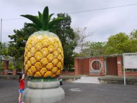 旺萊公園大鳳梨<br/> 攝影：旅遊王攝影組
