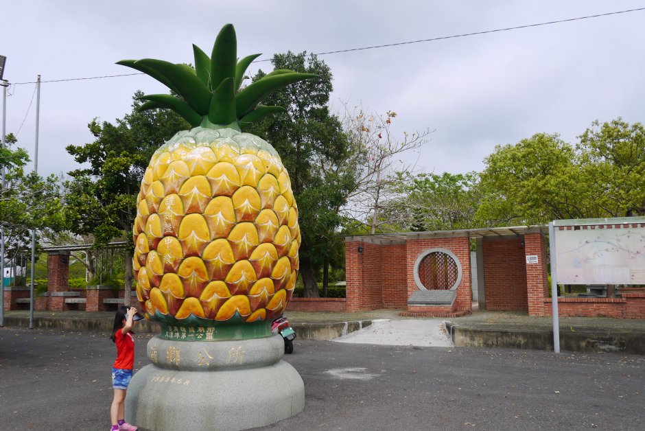 旺萊公園大鳳梨 攝影：旅遊王攝影組