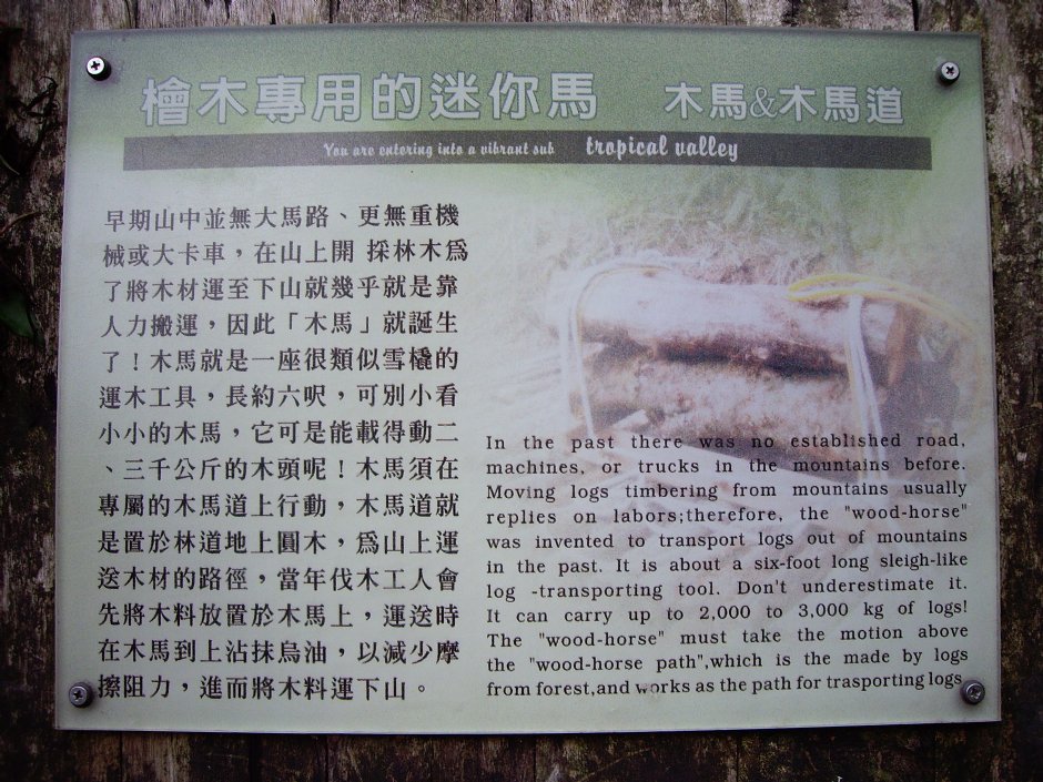 林美石磐步道 摄影：Eva隨手拍