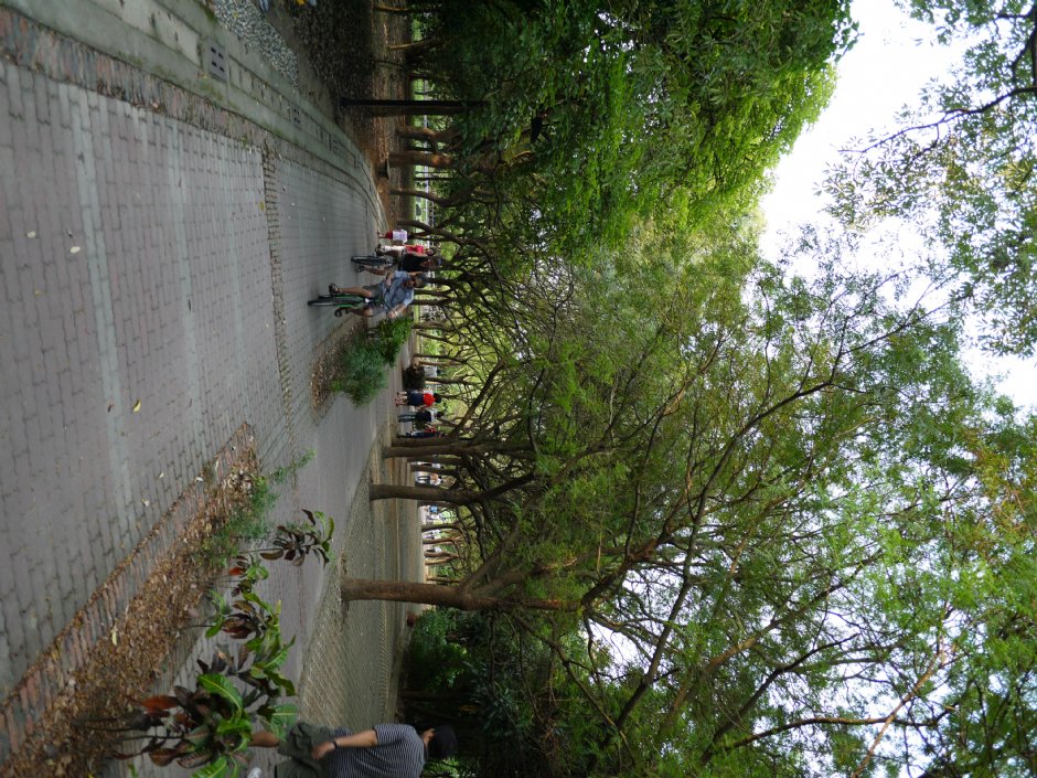 高雄都會公園 攝影：三個井
