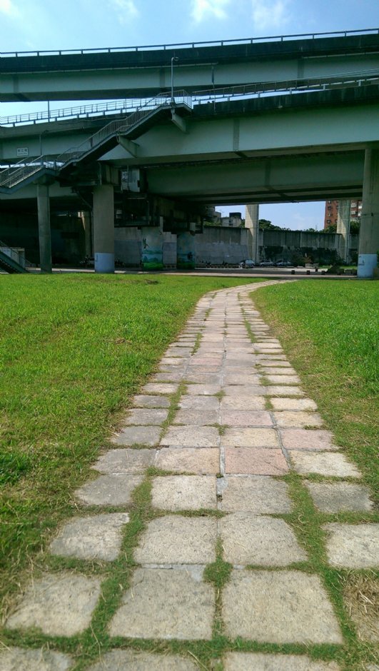 華江雁鴨自然公園 攝影：Eva隨手拍