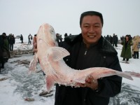 肥美的查干湖鮮魚<br/> 攝影：馮順