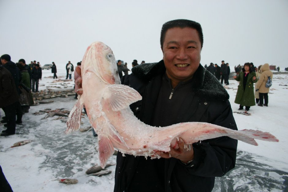 肥美的查干湖鮮魚 攝影：馮順