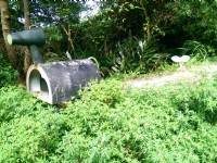 二叭子植物園<br/> 攝影：Eva隨手拍
