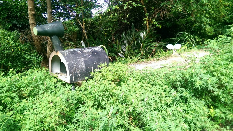 二叭子植物園 攝影：Eva隨手拍