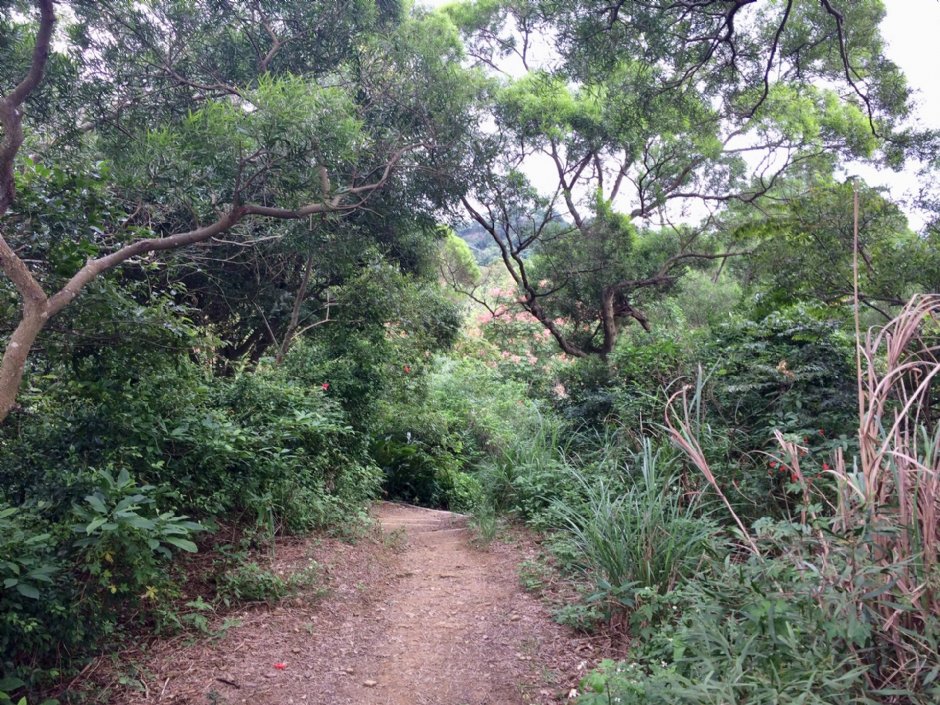 福州山公園 攝影：Eva隨手拍