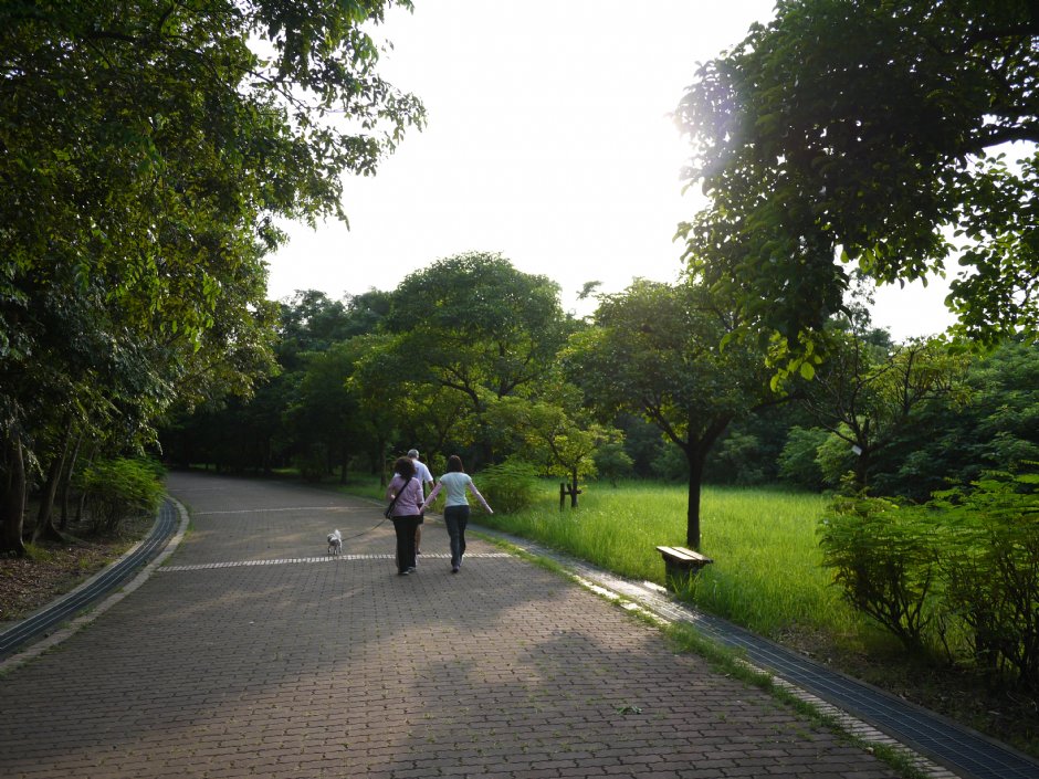 高雄都會公園 攝影：三個井
