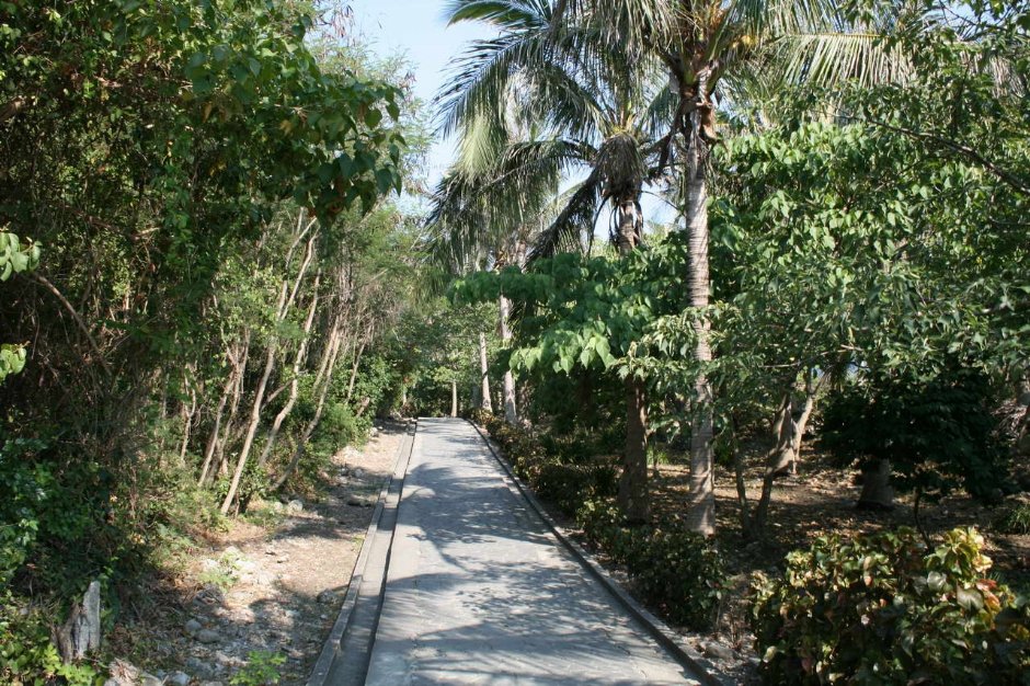 林蔭大道 攝影：老山羊部落格