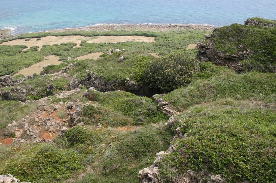 特殊礁石海灘 攝影：老山羊部落格
