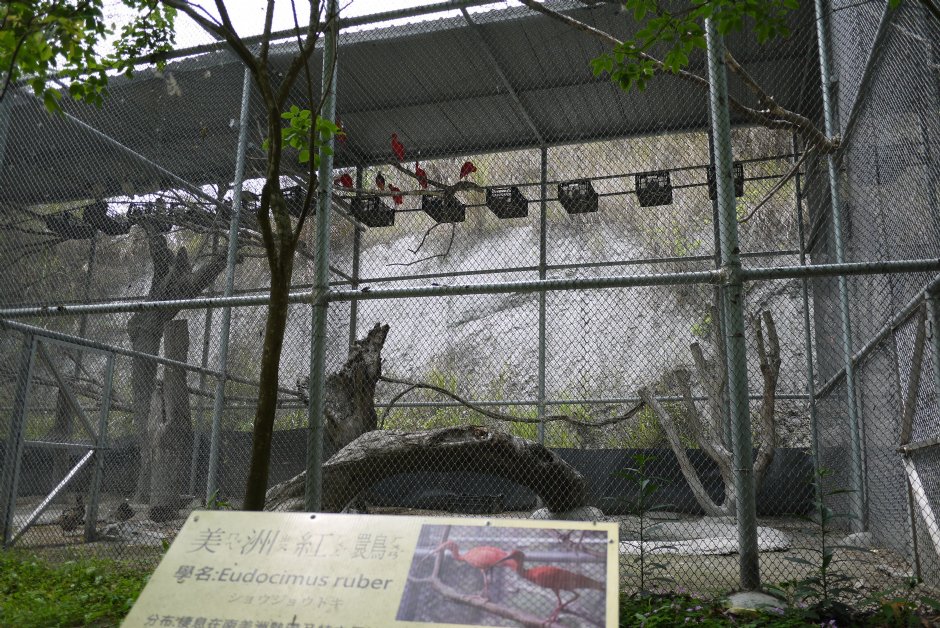 南元花園休閒農場鳥園 攝影：三井
