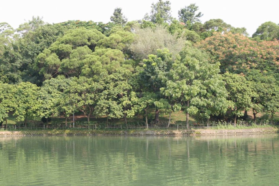 湖邊景色 攝影：老山羊部落格