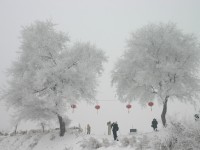 吉林市霧淞島<br/> 攝影：馮順