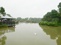 八德埤塘生態公園<br/> 攝影：Eva隨手拍