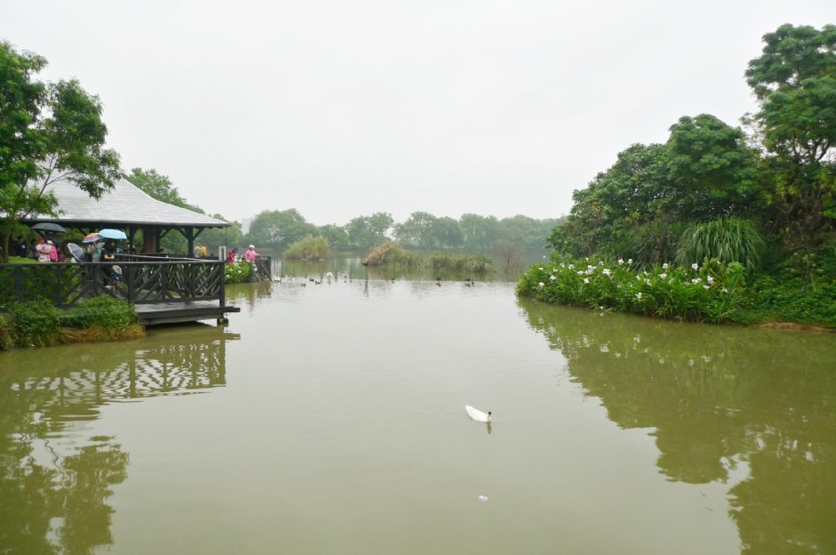 八德埤塘生態公園 攝影：Eva隨手拍