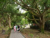 園內步道<br/> 攝影：amo