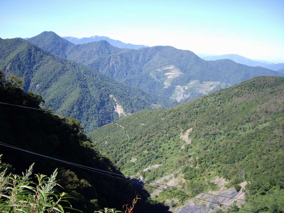 眺望山頂 攝影：老山羊部落格
