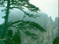 黃山-01<br/> 攝影：四川旅遊信息網