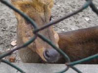 上海動物園<br/> 攝影：Crystal