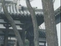 大明寺-3<br/> 攝影：台灣中國旅行社