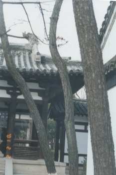 大明寺-3 攝影：台灣中國旅行社
