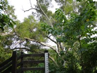 漯底山自然公園<br/> 攝影：三井