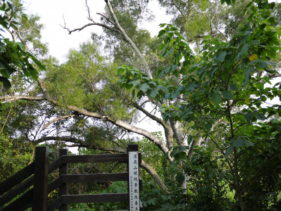 漯底山自然公園 攝影：三井