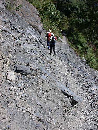 通往神木區的路 攝影：阿英的登山小站