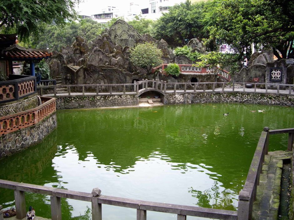 水清秀麗-榕蔭大池 攝影：老山羊部落格