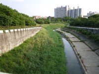 高雄都會公園<br/> 攝影：三個井
