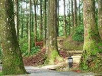 森林遊樂區登山口<br/> 攝影：老山羊部落格