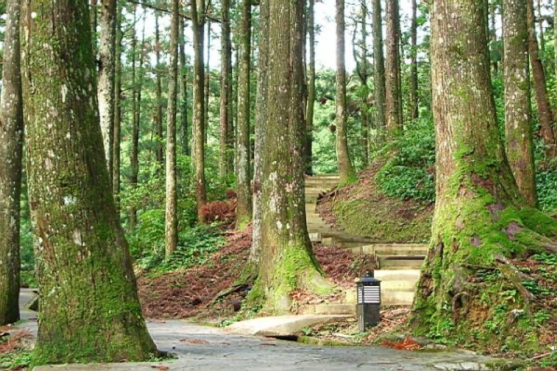 森林遊樂區登山口 攝影：老山羊部落格