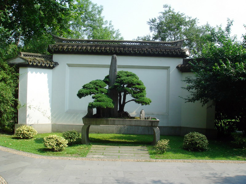 竹素園-盆景 攝影：余錫堅