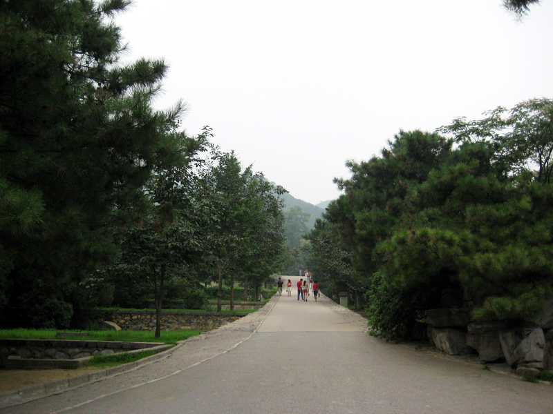 林蔭大道 攝影：方盛文