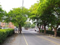 虎尾糖廠外道路<br/> 攝影：Eva隨手拍