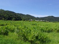 東源濕地<br/> 攝影：Eva隨手拍