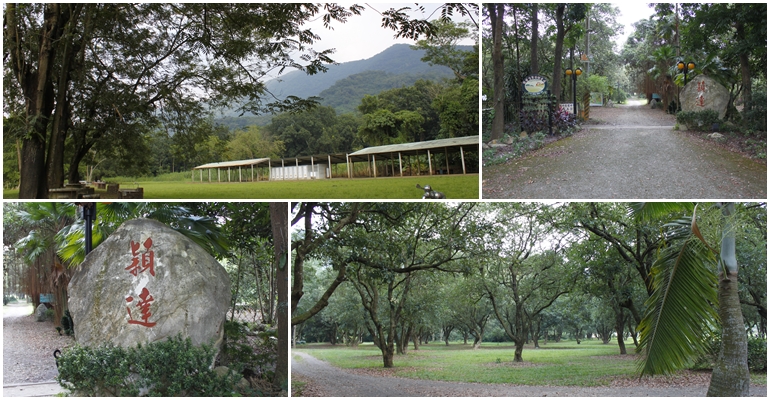 穎達生態休閒農場 攝影：沿山休閒農業園區協會