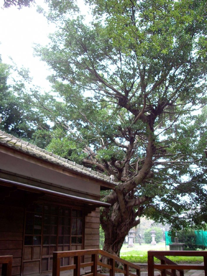 忠烈祠(桃園神社) 攝影：Eva隨手拍