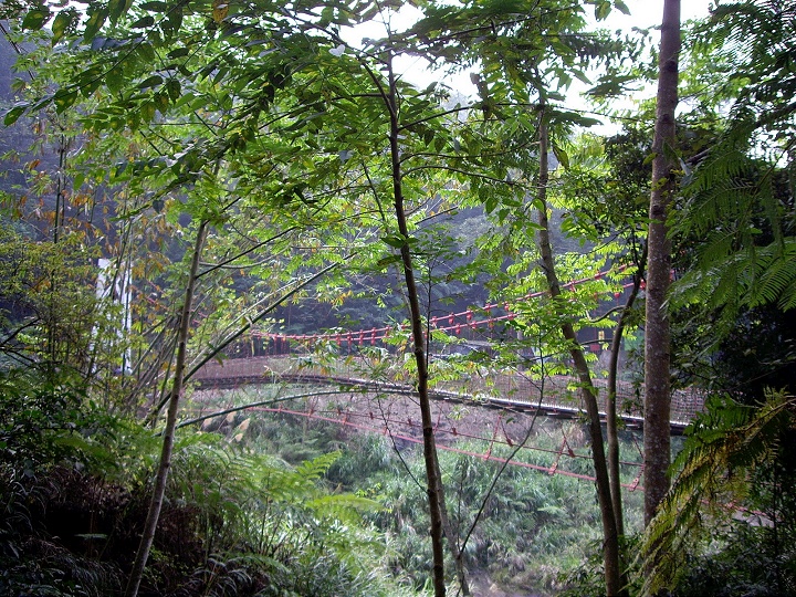 竹山天梯 攝影：Eva隨手拍