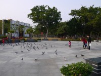 捷運大東站旁公園<br/> 攝影：旅遊王攝影組