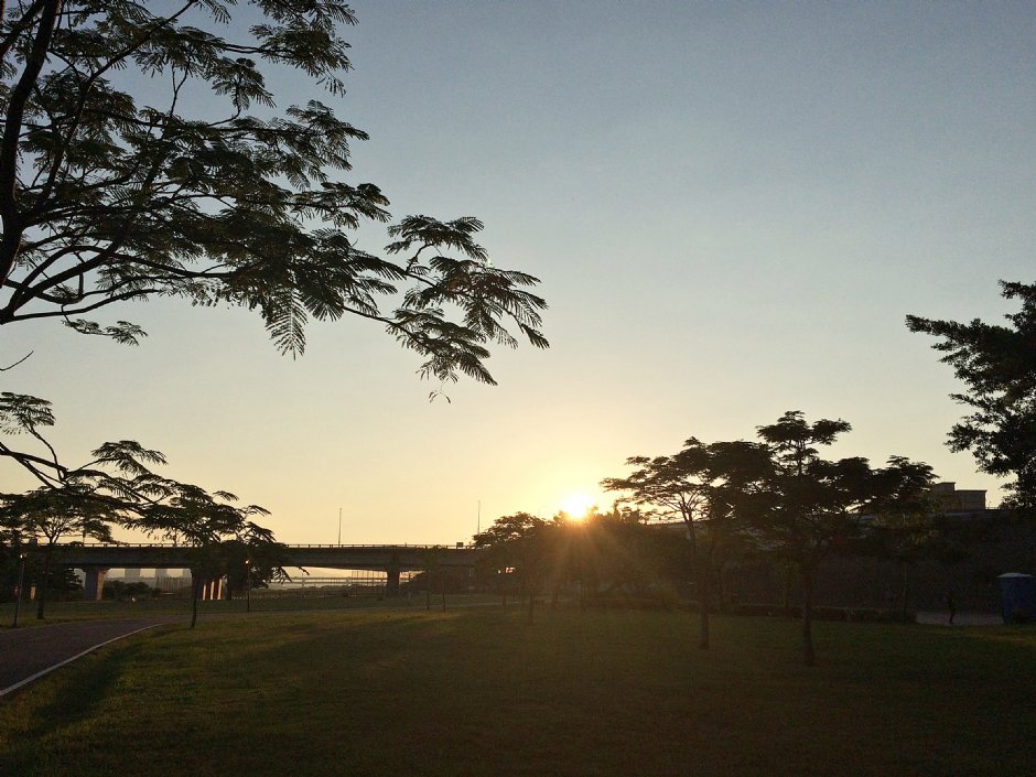 江子翠河口景觀河濱公園 攝影：Eva隨手拍
