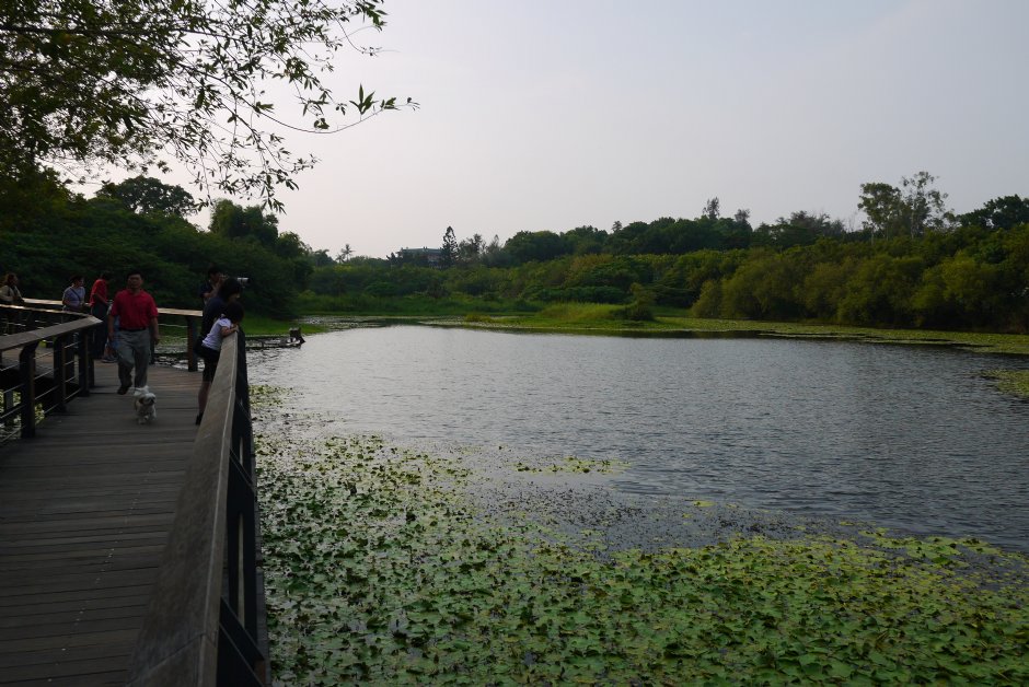 鳥松濕地公園 攝影：三井