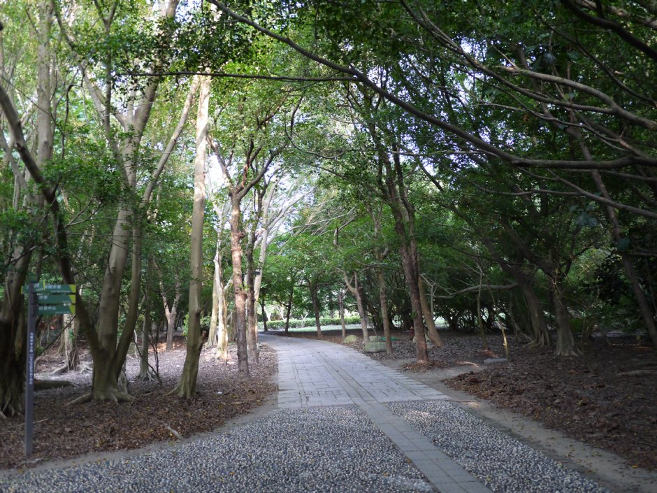 高雄都會公園 攝影：三個井