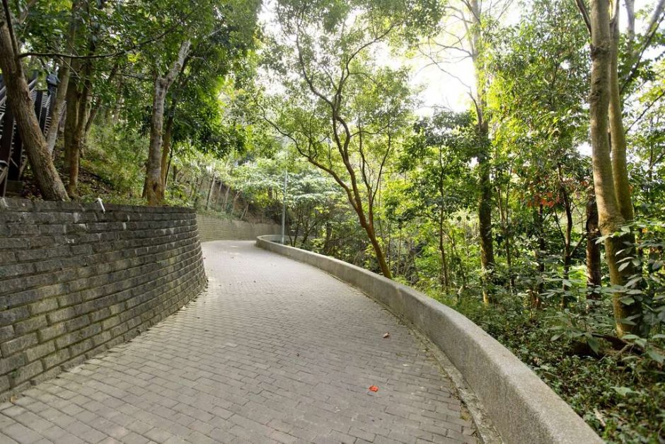 虎形山公園 攝影：照片來源_台南市觀旅局