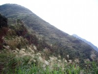 雞隆山登山步道<br/> 攝影：Eva隨手拍