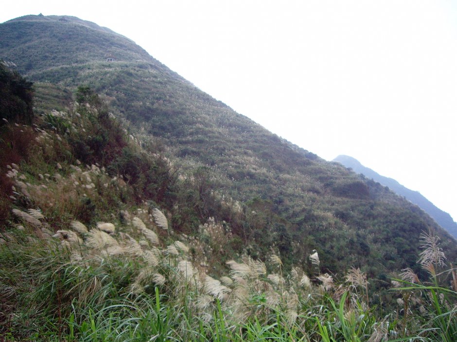 雞隆山登山步道 攝影：Eva隨手拍