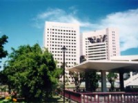 休憩涼亭與綠樹<br/> 攝影：郭財成