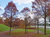 張公圍親水公園<br/> 攝影：Eva隨手拍